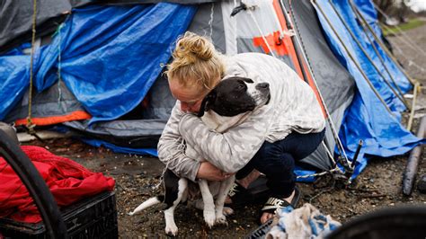 homeless videos .